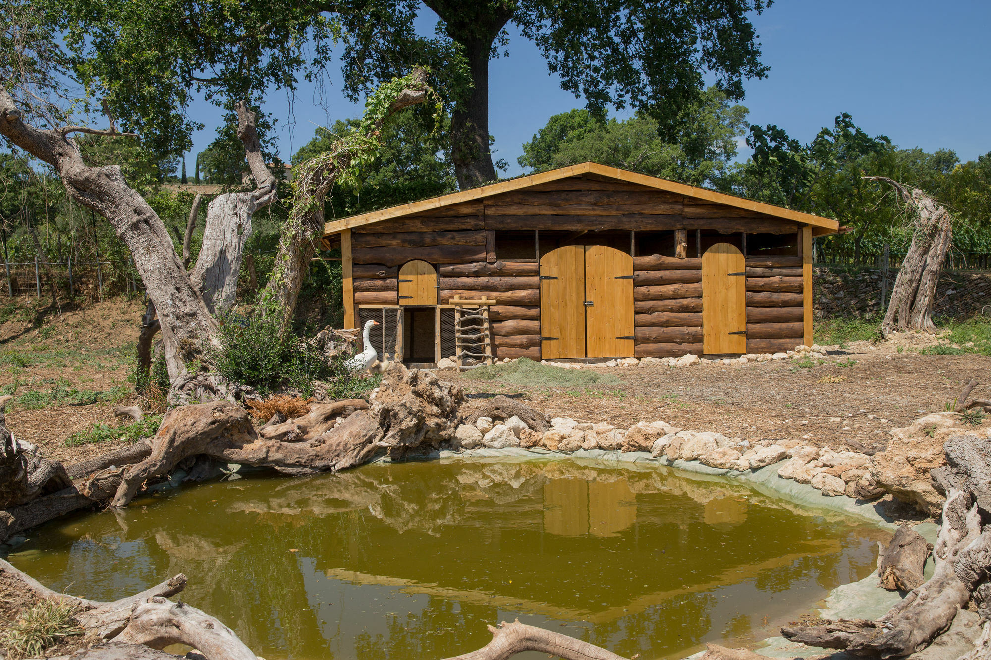 Agriturismo Le Anfore Sarteano Ngoại thất bức ảnh